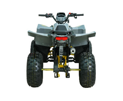 Квадроцикл бензиновый MOTAX GRIZLIK RAPTOR D125 желтый