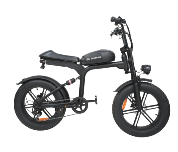 Электровелосипед Armelona AR-16 (BK20)