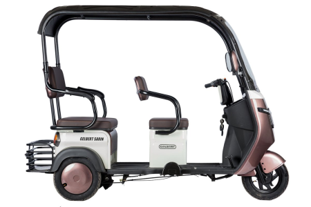 Электротрицикл Rutrike Gelbert Sarin 48V/60V 1000Вт коричнево-белый
