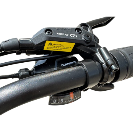 Электровелосипед SmartBalance HUNTER серый