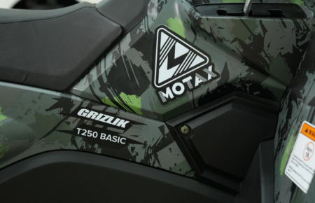Бензиновый квадроцикл MOTAX GRIZLIK T250 BASIC зеленый