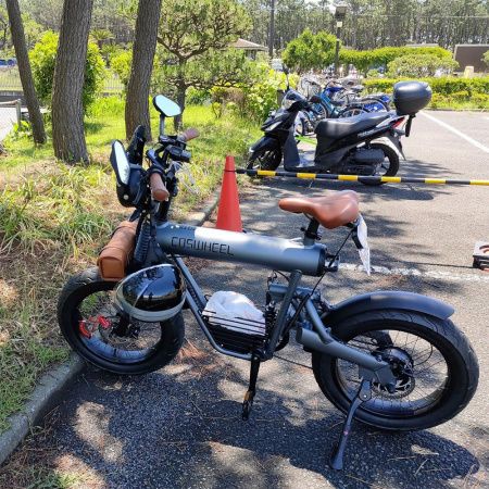 Электровелосипед COSWHEEL T20R